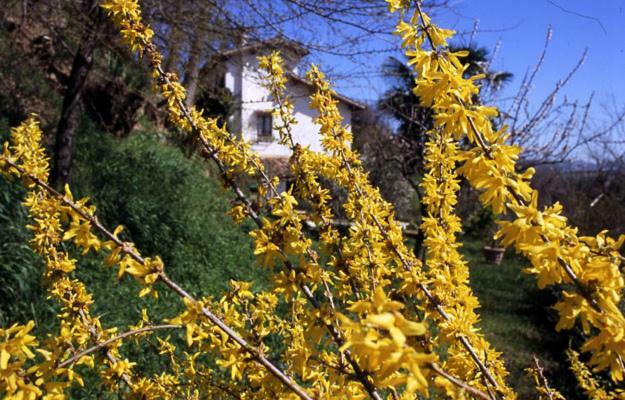 Bed And Breakfast Il Governatore Urbino Exterior foto