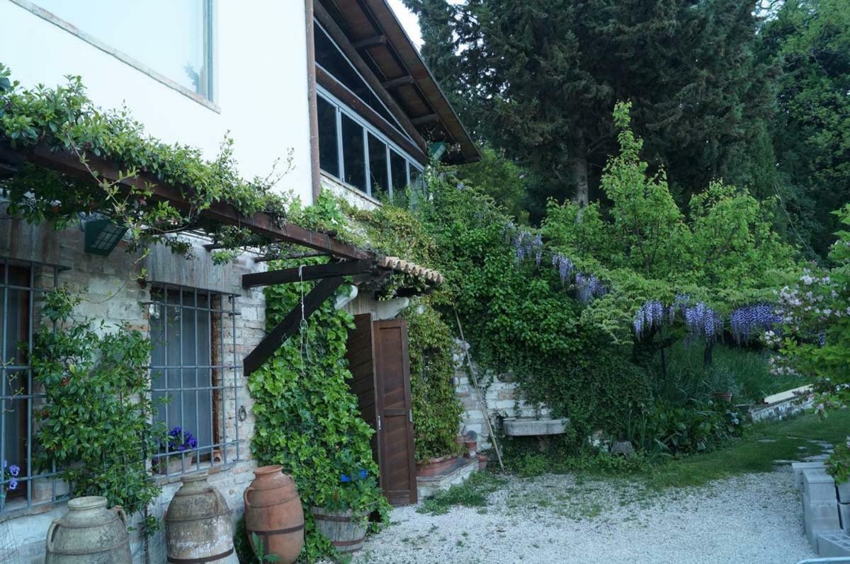 Bed And Breakfast Il Governatore Urbino Exterior foto