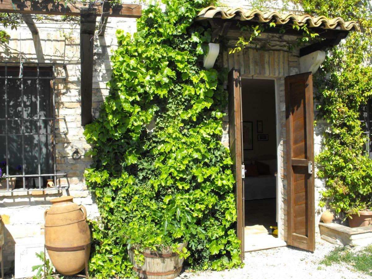 Bed And Breakfast Il Governatore Urbino Exterior foto